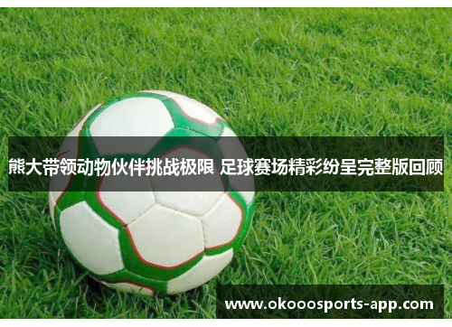 熊大带领动物伙伴挑战极限 足球赛场精彩纷呈完整版回顾
